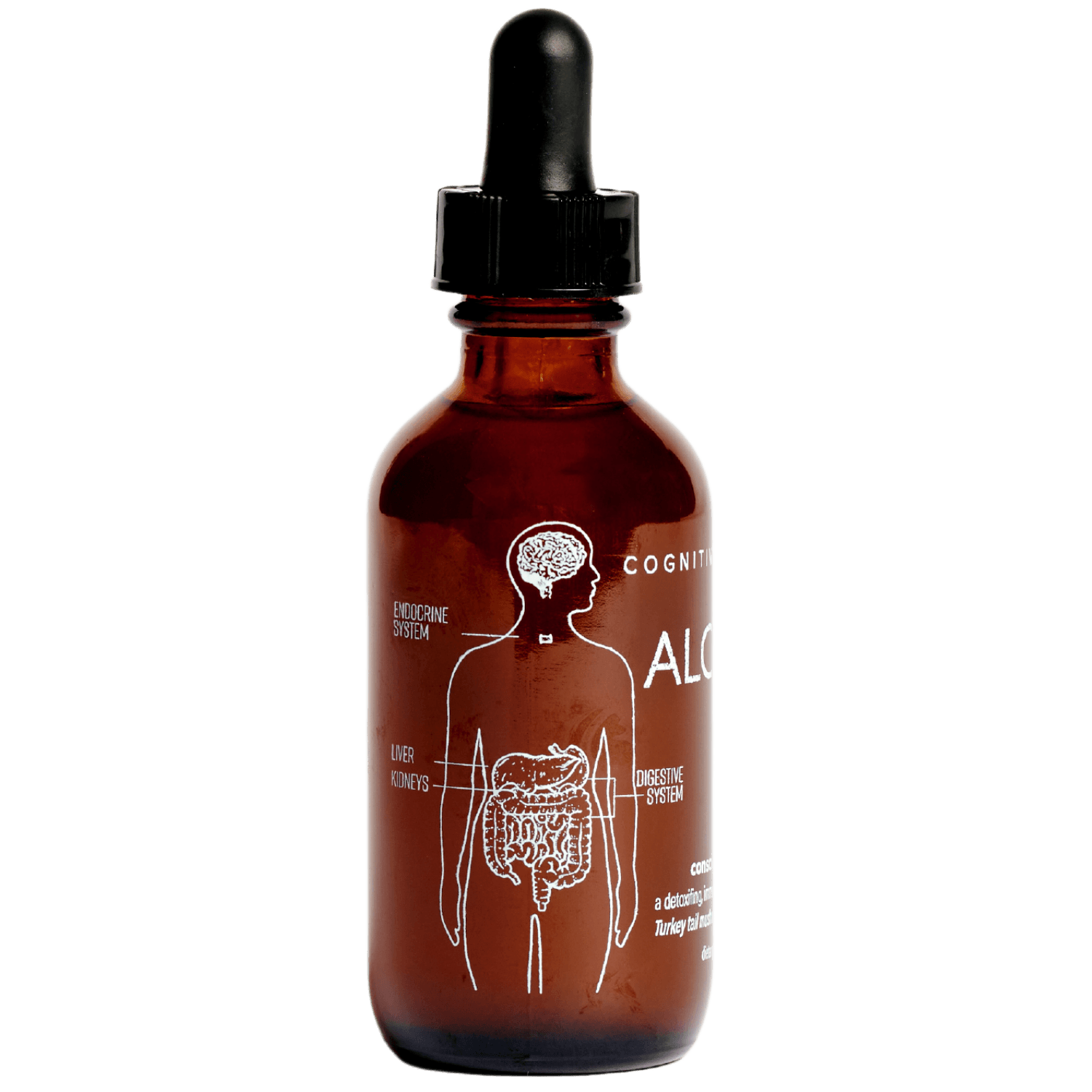 Alchemize ✺ Turkey Tail Mushroom - Cognitive Function